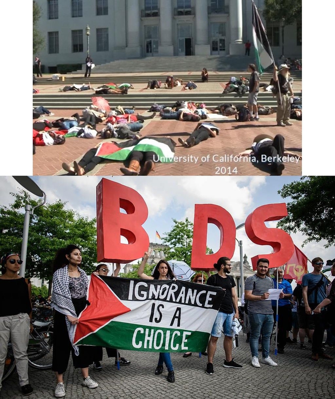 Depuis de nombreuses années, des étudiants se regroupent dans une association BDS (Boycott, Divestment and Sanctions against Israel qui prône à tout-va le slogan "Down Israel" (A bas Israel). Toutefois, on reste dubitatif sur un de leurs mots d'ordre "L'ignorance est un choix", est-ce à dire que maintenir dans l'ignorance une population est une bonne chose ?