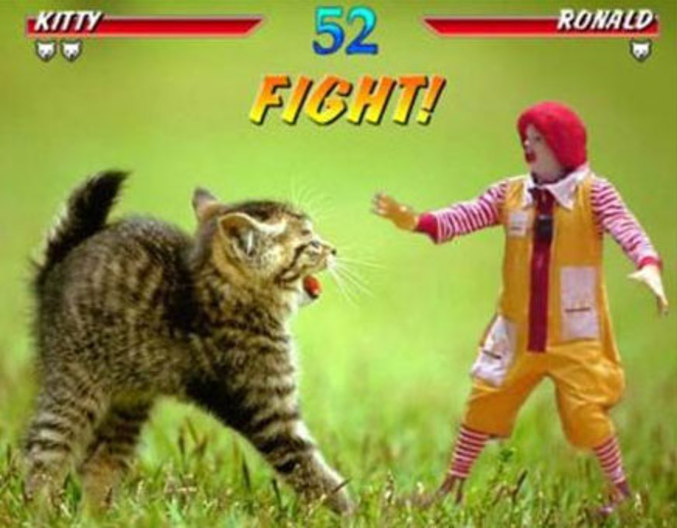 Un jeu de combat avec un chat contre Ronald Macdonald.