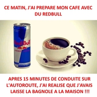Conduite en état de caféinesse
