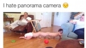 Baby centipede