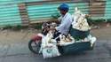 Transport de canards