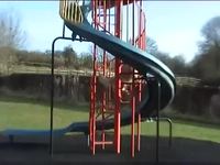 Un chien fait du toboggan