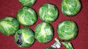 Choucolat de Bruxelles