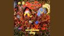 Osibisa - Sunshine day
