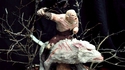 Cake Azog!