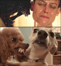 Like an alien.