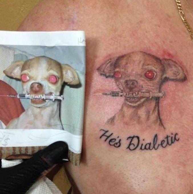 Un tatouage de chien diabétique.
