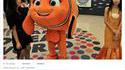 Le petit monde de Nemo