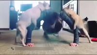 Elle fait son sport chez elle 