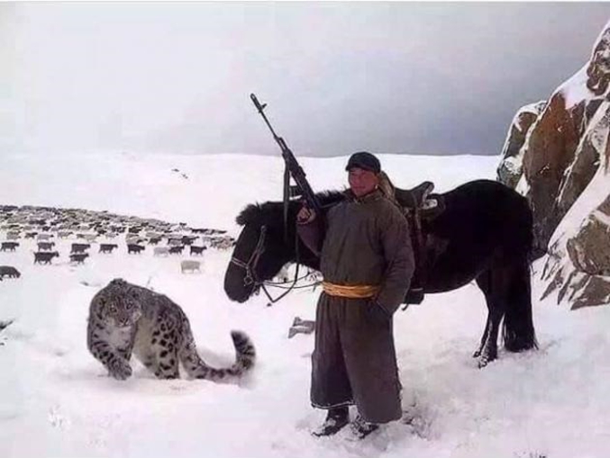 Un berger mongol, son fidèle destrier, son troupeau, son heu... bâton et son heu... chien de berger ?