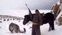 Pendant ce temps en Mongolie