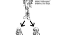 Tutorial