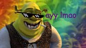 La nouvelle bande annonce de Shrek 5