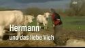 L'amour vache