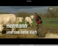 L'amour vache