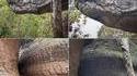 Le rocher du serpent