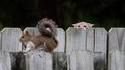 I see you ! 