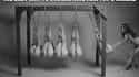Les bases de la physique