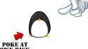Pingouin susceptible