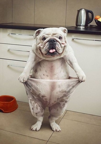 Faire ceinture...