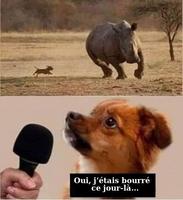 Qui a bu, aboiera...