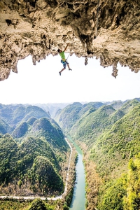 Poirier dans le désert