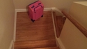 ISP