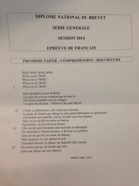 Pendant ce temps, au brevet (fictif) de français...