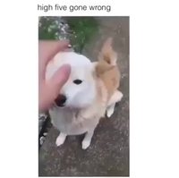 High five !