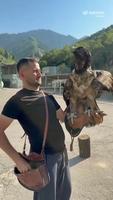 Avoir un appétit d'oiseau