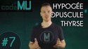 Les mots hypogée, opuscule et thyrse (avec un invité spécial)