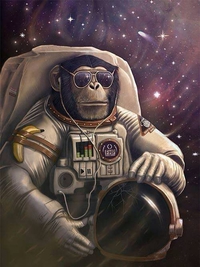 Le singe de l'espace