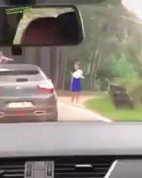 Ceci n'est pas un ours en peluche