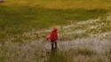 Faut pas attendre que l'herbes soit sèche?