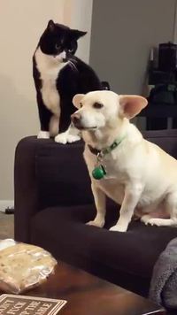 Se donner le temps de la réflexion