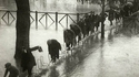 Paris - 1910