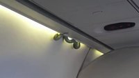 Des serpents dans l'avion IRL