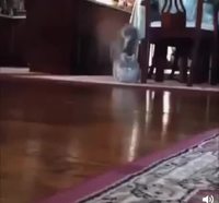 L'arrivée du Roi sous la montagne