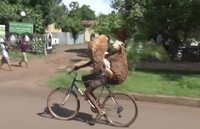 Vélo'v'in