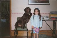 Chien cool 5