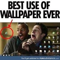 Best use of wallpaper ever!