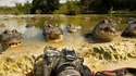 Un photographe,