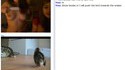 Chatroulette 13