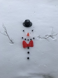 Bonhomme de neige à plat