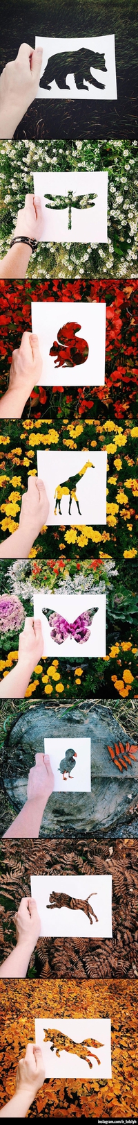 Faune et flore
