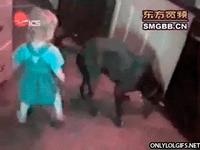 Le doigt de l'innocence