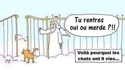 C'est un enfer avec eux