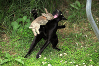 Epic battle 2