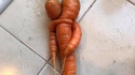 Couple Carotte