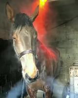 Fait un peu chaud non ?